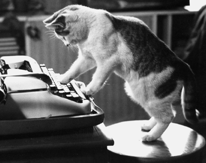 Cat_Writing